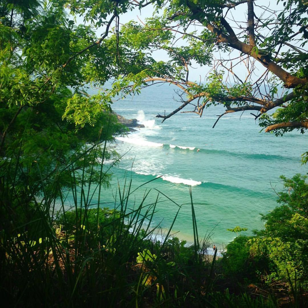 Brisamar Guesthouse Puerto Escondido (Oaxaca) Eksteriør bilde